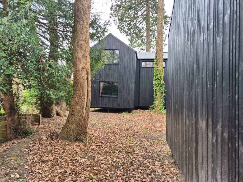 Rear elevation of Woodland House seen through mature trees, Tunbridge Wells TN2 — 360 Measurements